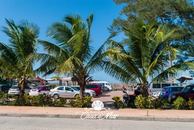Acceso al estacionamiento desde la calle, entre palmeras · Hotel Casa del Mar
