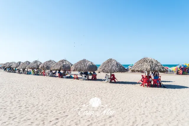 Hilera de palapas sobre la arena de Tecolutla · Hotel Casa del Mar